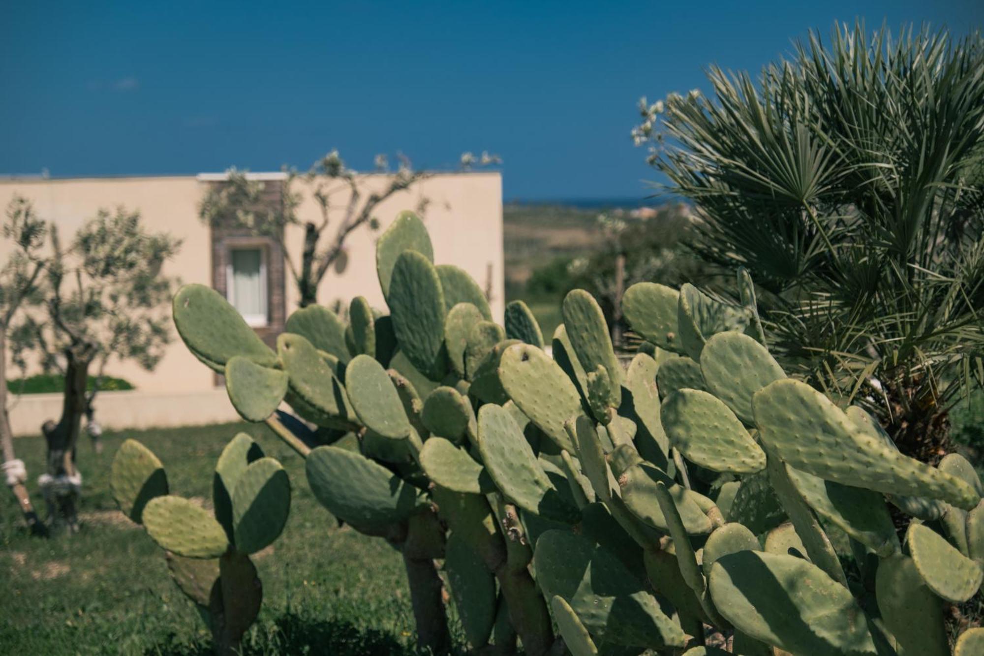 New Exclusive Lodges, Marzamemi, Noto ปาคีโน ภายนอก รูปภาพ